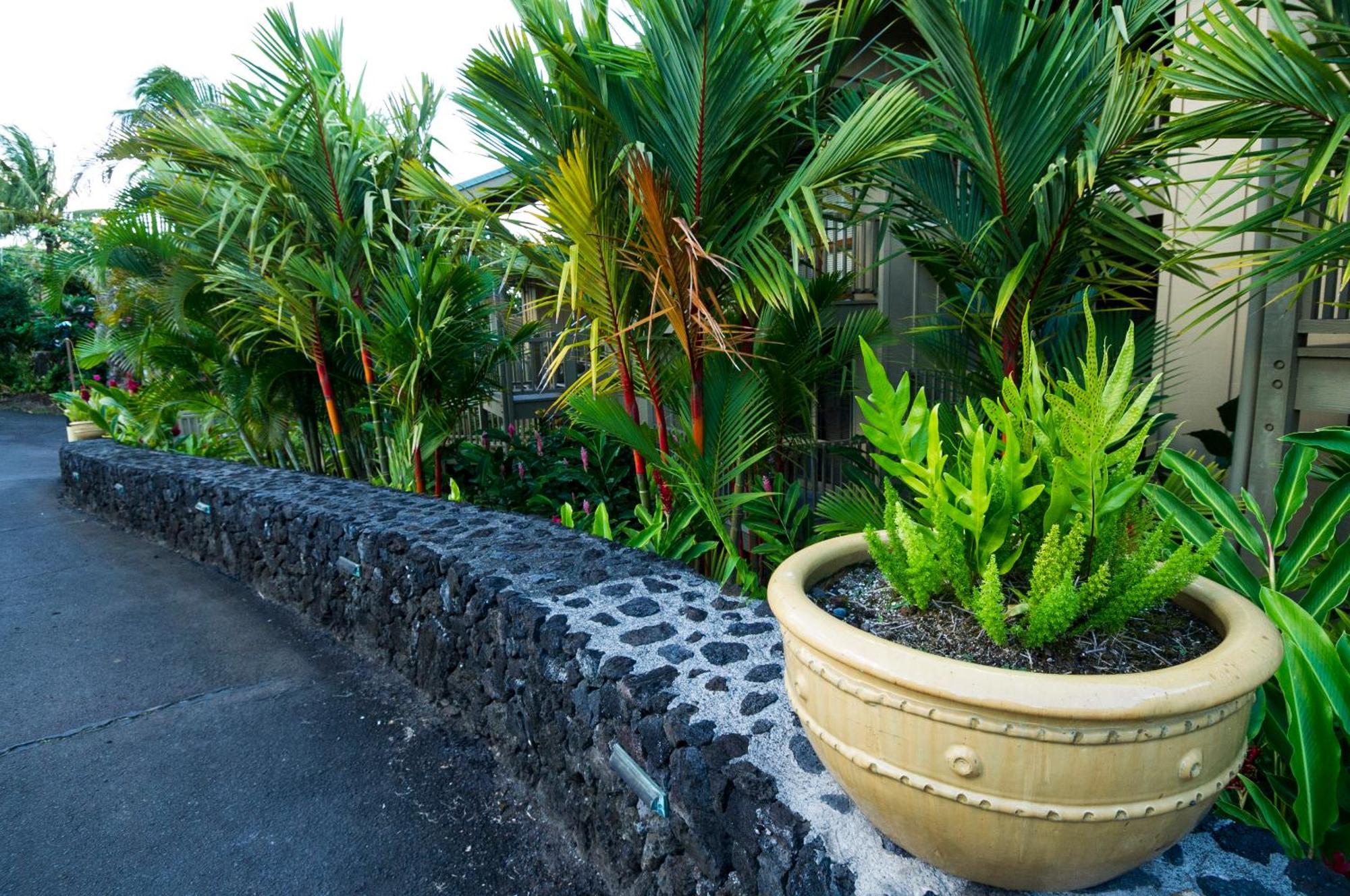 Hana Kai Maui - #201 Honokalani - Oceanview 1 Br Exterior foto